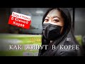 Чем отличается жизнь в Корее от России | Будь с Нами в Южной Корее #1