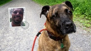 Abolitionist Abstractions Vlog 47: Careful on those dirt roads, nitwit!