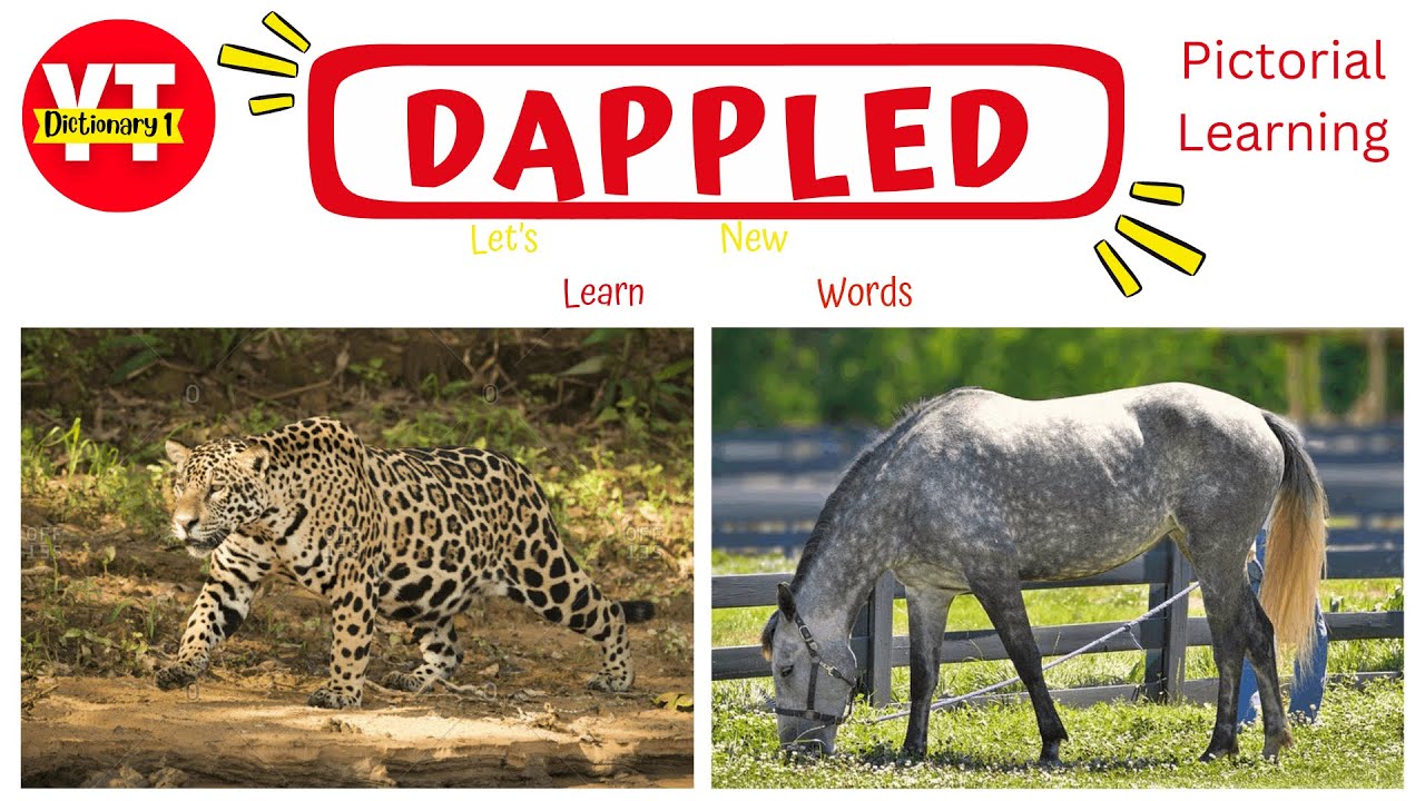 Dappled How to Pronounce? 'Dappled' meaning in English + Urdu | Synonyms | English Solutions