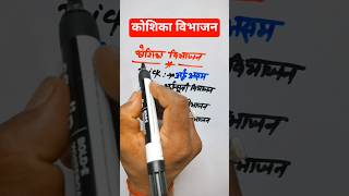 कोशिका विभाजन क्या है? 🤯 | Mitosis vs Meiosis🔥 #celldivision #mitosis #gkshorts #shorts #viralshorts