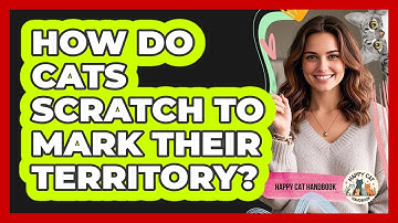 How Do Cats Scratch To Mark Their Territory? - Happy Cat Handbook
