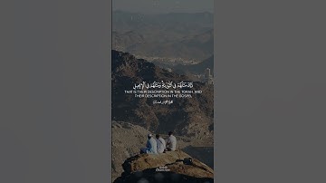سوره الفتح تلاوه القران الكريم الشيخ ياسر الدوسري