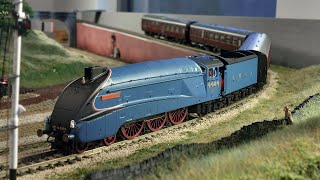 Opening the Hornby Great Gathering 4464 A4 Bittern