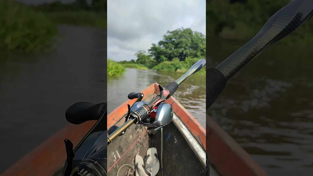 SHIMANO CURADO DC VS IROLY DIABLO 2 2024 