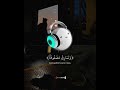 في جنة عالية لاتسمع فيها لاغية سورة الغاشية عبد الرحمن مسعد