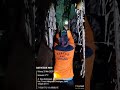 memetik Darang tawon dengan santainya$ar Wko