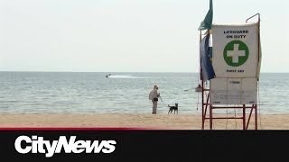 High levels of E. coli detected at two Toronto beaches