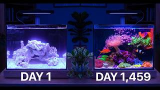 4 Years Ago We Set Up This Reef Casa Nano Reef Tank