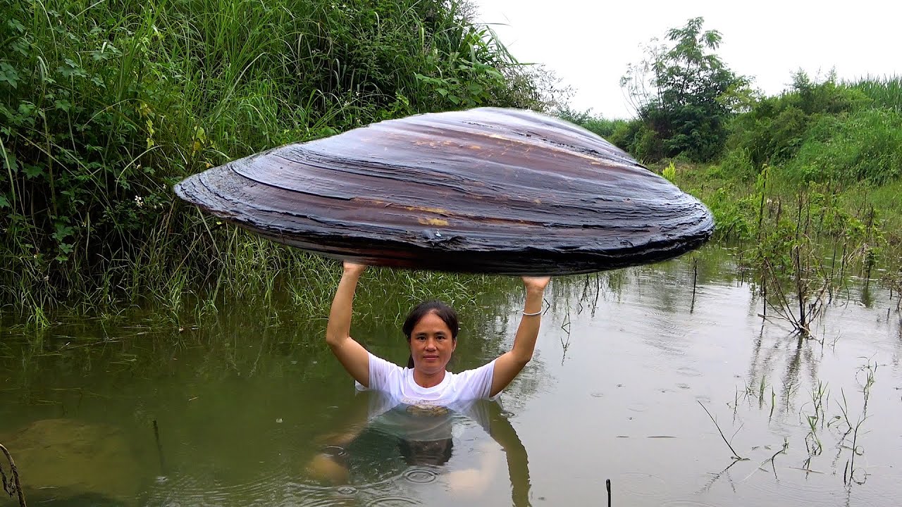 After the flood, there are many pearl clams left here, and no one knows except me