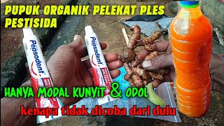 pestisida alami organik hama tidak akan ada jika disemprot pakai ini