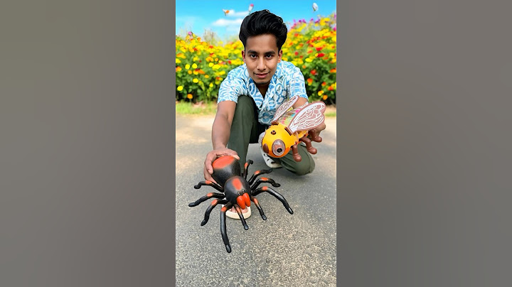 Remote Control Spider Vs Rc Bee 🐝 Unboxing😍