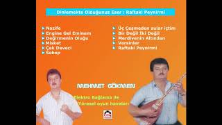 Elektro Bağlama ile Yöresel Oyun Havaları/ Mehmet Gökmen -   Raftaki Peynirmi ( Sarı Yıldız ) Resimi