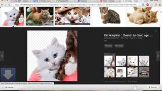 14. Introduction about ImageView & ImageView Properties  Part 1