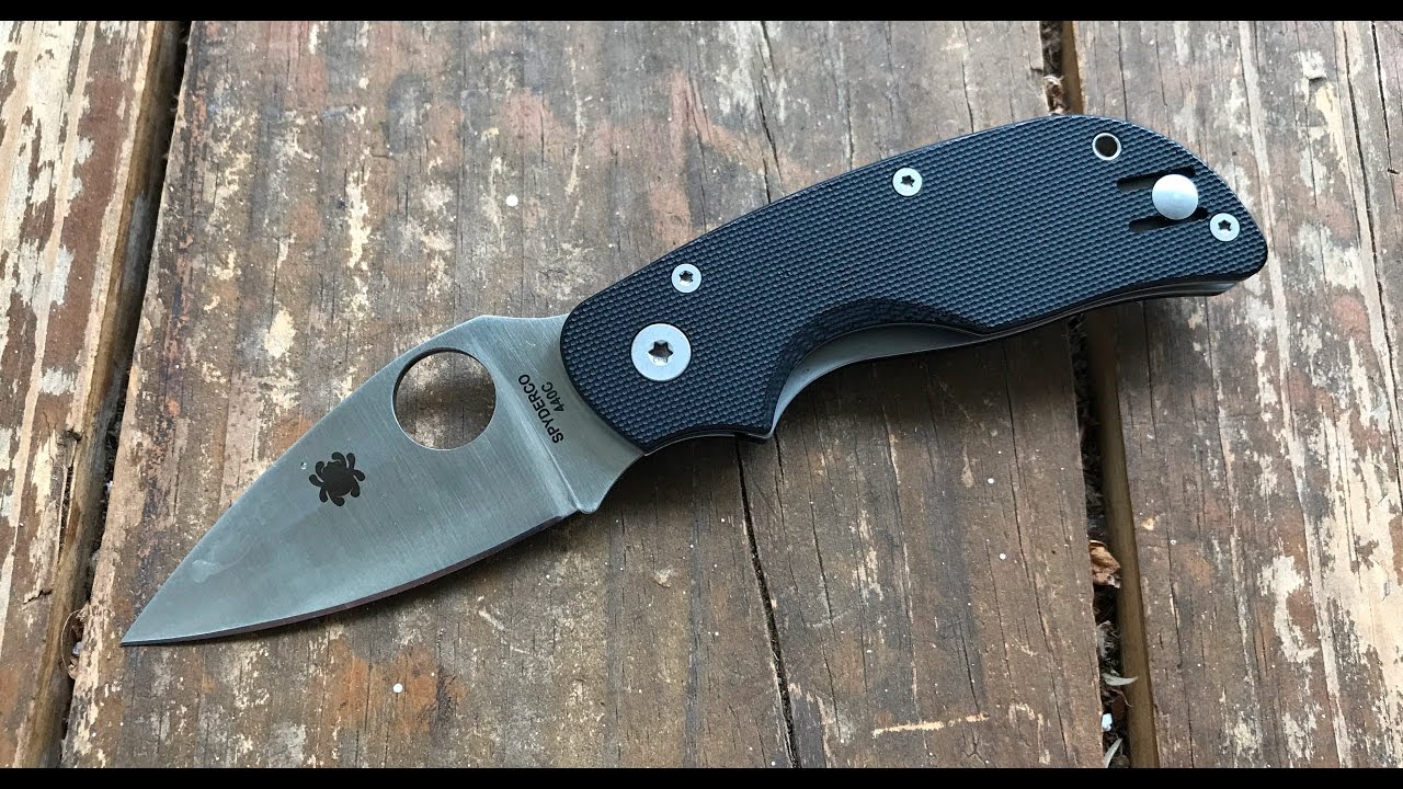The Spyderco Cat Pocketknife: The Full Nick Shabazz Review - YouTube