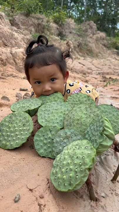 Survival Skills: Lotus Seed Skills in Forest #survival #lotus #bushcraft #viralvideo #outdoors