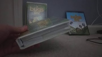 3 Different Versions Of A Bug