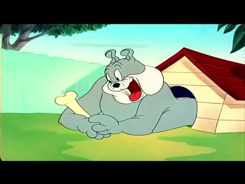 Tom And Jerry The Framed Cat 1950 Part 1 