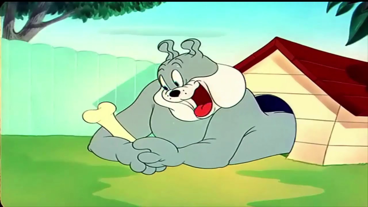 Tom And Jerry The Framed Cat