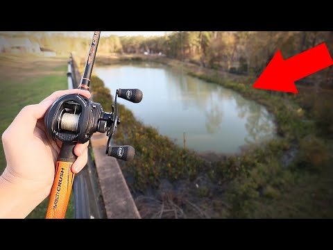 Video: How To Catch Fish In Winter