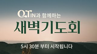 2024-04-27 (토) | 큐티인 | 욥기 40:1-24 | 전능자와 다투겠느냐 | 권오성 초원지기 | 우리들교회 새벽기도회