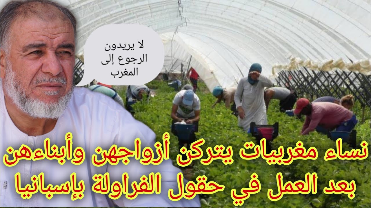 الشيخ عبد الله نهاري: كيف نتعامل مع النساء اللواتي توجهن للعمل في حقول الفراولة بإسبانيا ولم يرجعن؟