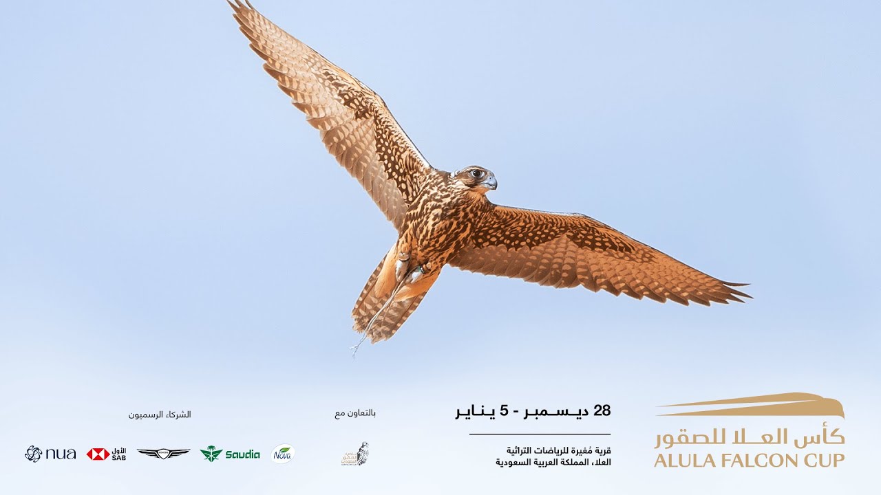 كأس العلا للصقور (اليوم الاول)    AlUla Falcon Cup (Day 1)