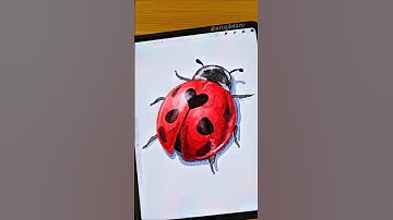 Simple Cute Ladybug ❤️🐞 #procreate #shorts #art #watercolor