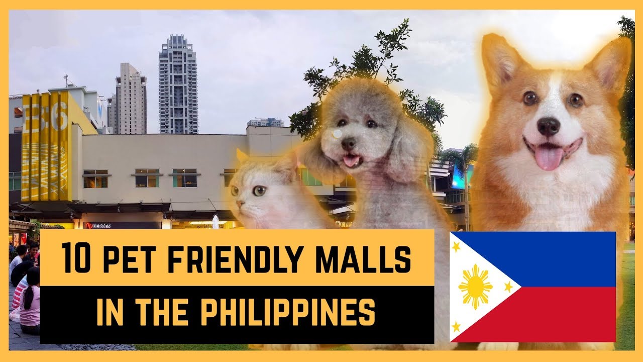 10 PET FRIENDLY MALLS IN THE PHILIPPINES Rankler YouTube