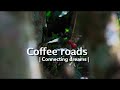 Coffee Roads  - Connecting dreams