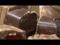 16x9 - Child Labour: The Dark Side of Chocolate