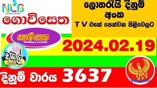 Govisetha 3637 #2024.02.19 lottery results #Lottery #Results ගොවිසෙත #Lotherai #dinum anka #3637 NLB