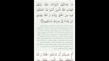 سوره مبارکه بقره ادامه آیه ۲۱۲بامعنی گویا گوارای وجودتان #قرآن #قران_كريم #قران #قرآن_كريم #youtube