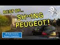 UK Dash Cameras - Best of: S***ING Peugeot