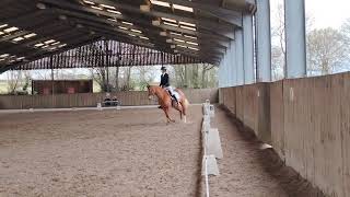 WRC Dressage Novice 2. 1st 70.96