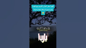 اللهم أجعل القرآن الكريم ربيع قلوبنا ونور صدورنا وجلاء همنا وحزننا #القرآن_الكريم #يارب #المصحف
