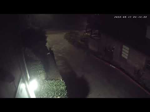 Mail theft caught on video! - YouTube