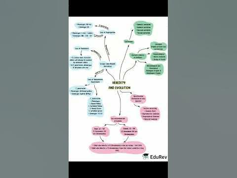 Heredity and evolution| Mind Map| Class-11,12| Biology| #neet - YouTube