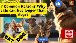 7 Common Reasons Why cats can live longer than dogs The secret behind Longer Life of Cats than Dogs by PawsPlayhouseTV 76k Subscriber 1.3 M views  3 views 2 months ago 7 minutes, 6 seconds