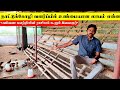 நாட்டுக்கோழி வளர்ப்பில் உண்மையான லாபம் என்ன | Best Country Chicken Farm