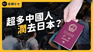 對祖國失望中國「潤日」人數大增為何這麼多人想移民日本ft. 社長劉洋 @CEORYUYO 《神秘職業大揭秘》EP024志祺七七