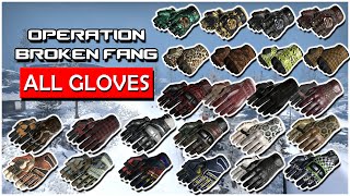 ALL NEW Operation Broken Fang Gloves in Game Showcase [CS:GO]