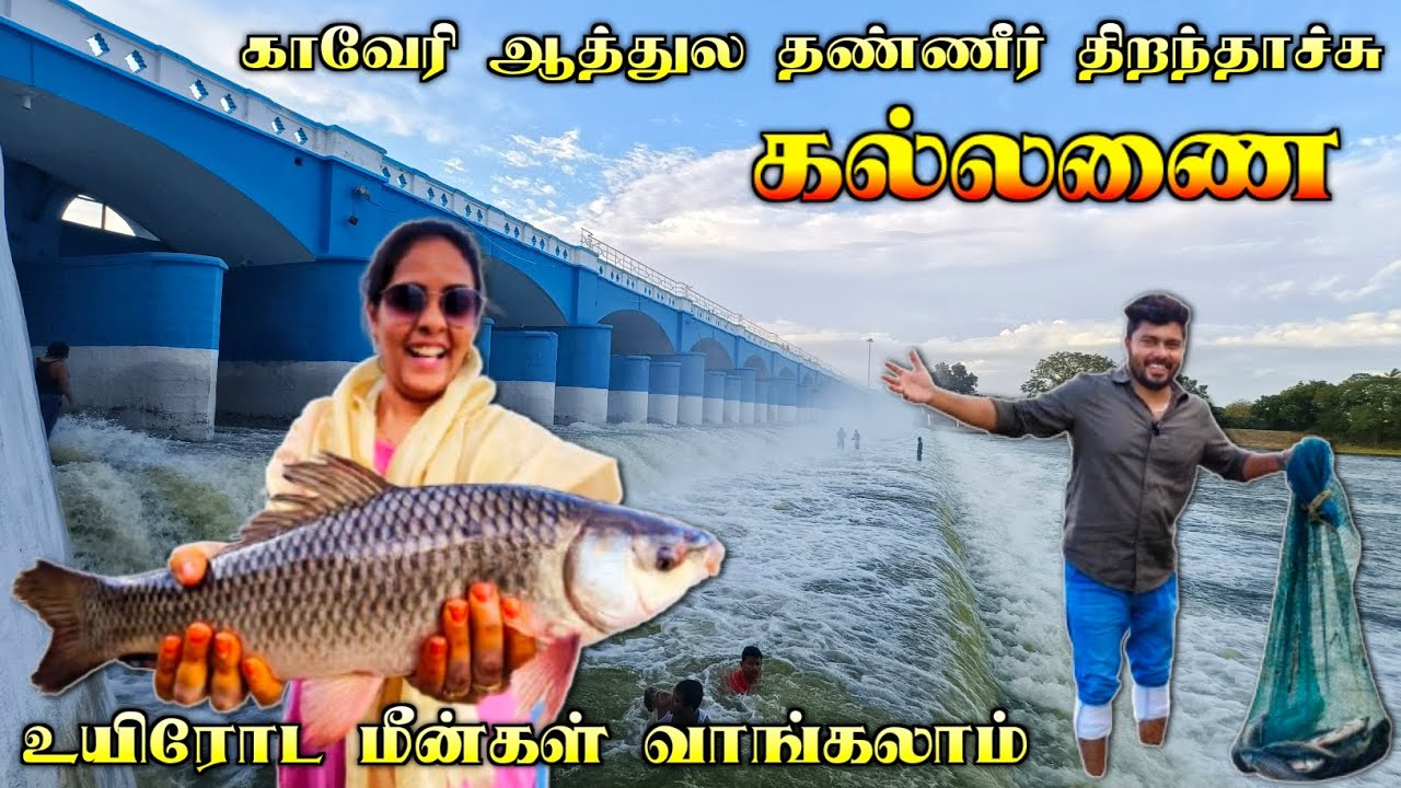 💯💥கல்லணையில உயிரோட மீன்கள் வாங்கலாம், ஆத்துல தண்ணி திறந்து விட்டாச்சு😍🔥| Media பட்டதாரி #kallanai