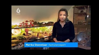 Interview Positieflijst SBS6 Hart van Nederland Marika's Knaagdierwereld