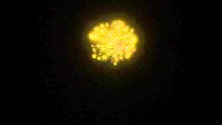 4'' LEMON SPECIAL STROBE