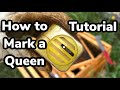 How to mark a queen bee  tutorial