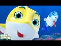 Sing Along Baby Shark Fun Kids Song &amp; Children Music by Baby Lemon