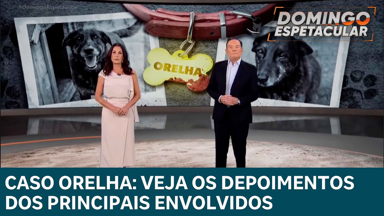 Caso Orelha: Exclusivo! confira os depoimentos dos principais envolvidos na investigação