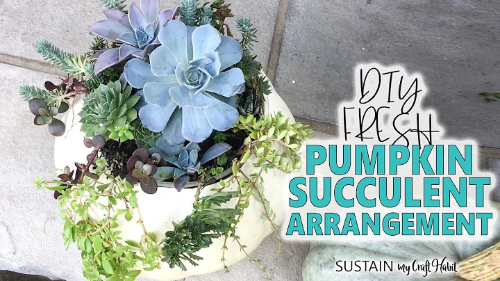 Our Simple Trick for Making a Live Pumpkin Succulent Arrangement