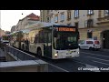 Busse in Ljubljana, SLO (2020) | LPP Ljubljana