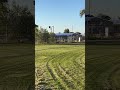 Daisy distract